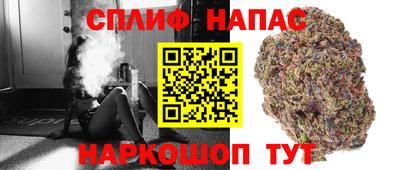 амф Донской