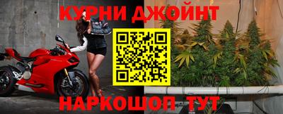 амф Донской