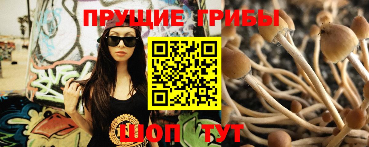 Псилоцибиновые грибы MAGIC MUSHROOMS Новошахтинск